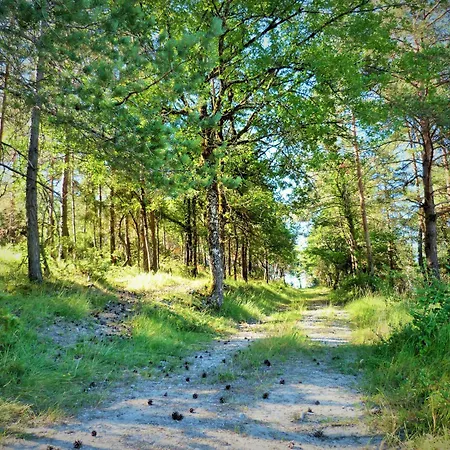 Chardon Auriac-du-Périgord