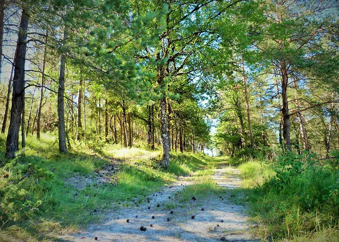 Chardon, Escapade Nature Auriac-du-Périgord